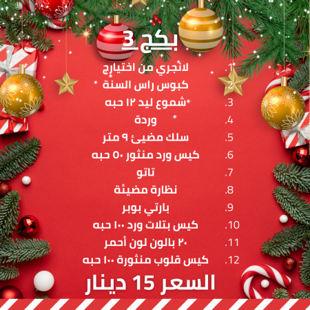 بكج 3